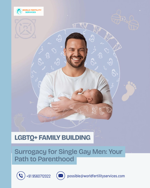 _Surrogacy-for-Single-Gay-Men.png
