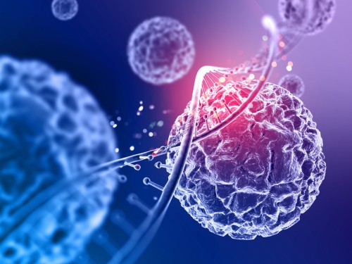 peptide-payment-processor.jpg