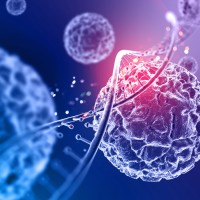 peptide-payment-processor