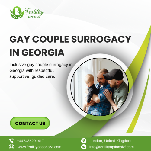 Gay-Couple-Surrogacy-In-Georgia.png
