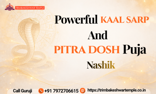 Kaal-Sarp-And-Pitra-Dosh-Puja-Nashik.png