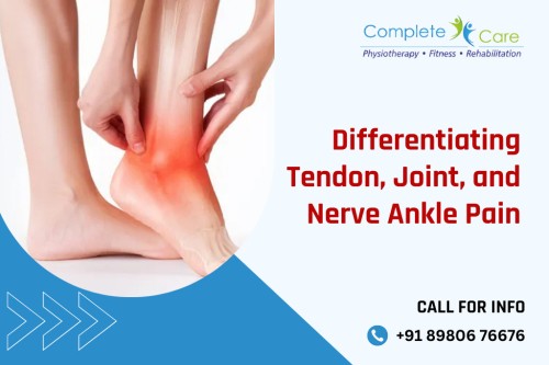 Tendon-Joint-and-Nerve-Ankle-Pain111.jpg