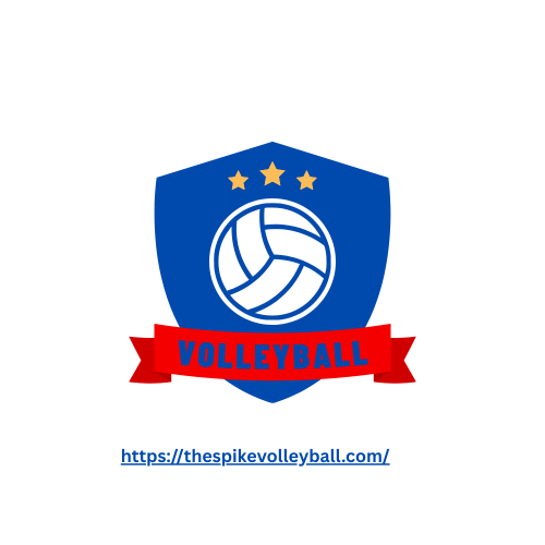 volleyyballspike.png