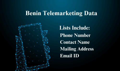 Benin-Telemarketing-Data.png