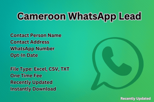 Cameroon-WhatsApp-Lead.png