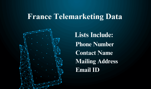 France-Telemarketing-Data.png