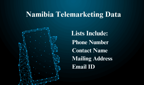 Namibia-Telemarketing-Data.png