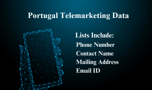 Portugal-Telemarketing-Data.png