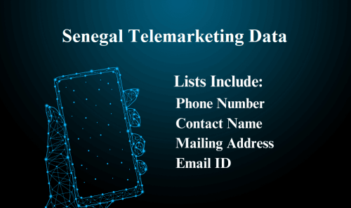 Senegal-Telemarketing-Data.png