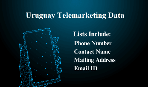Uruguay-Telemarketing-Data_1.png