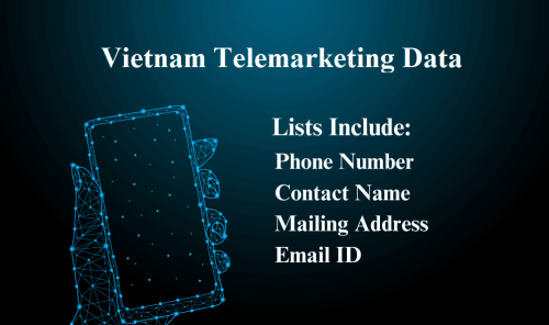 Vietnam-Telemarketing-Data_1.png