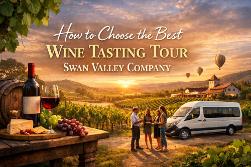 Swan_Valley_wine_tour_experience.png
