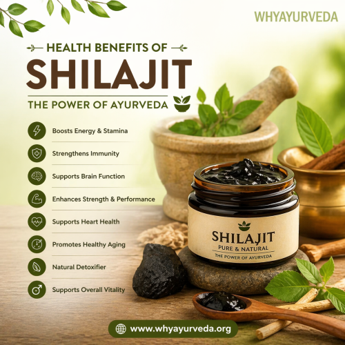 benefits-of-shilajit.png