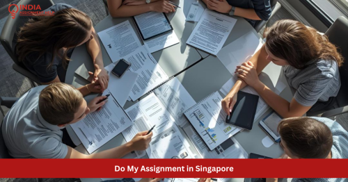 Do-My-Assignment-in-Singapore.png