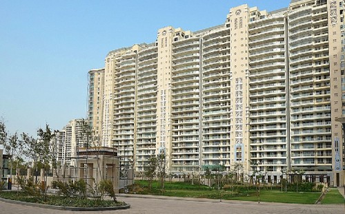 DLF-The-Magnolias.jpg