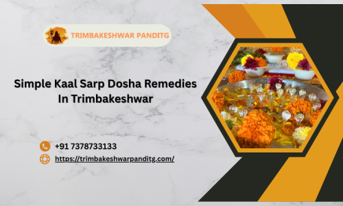 Simple-Kaal-Sarp-Dosha-Remedies-In-Trimbakeshwar.png