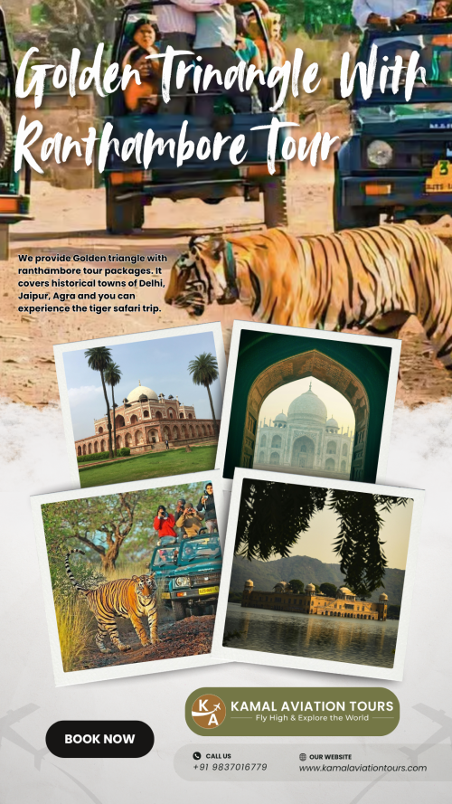 White-and-Green-Modern-Tours-and-Travels-Agency-Promotion-InstagramStory.png