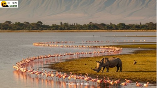kilitrips-tanzania-wildlife-safari-pack-list-best-day-trips.jpg