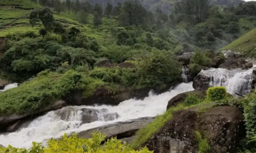 best-places-to-stay-in-mukteshwar.png