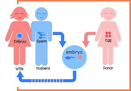 third-party-reproduction.jpg