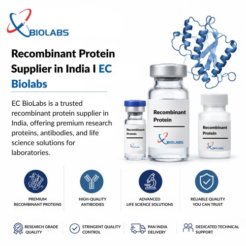 Recombinant-Protein-Supplier-in-India-I-EC-Biolabs.jpg
