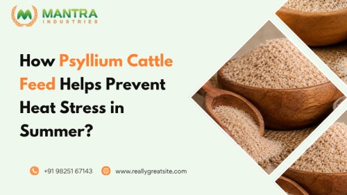 Psyllium-Cattle-Feed-Helps-Prevent-Heat-Stress-in-Summer111.jpg