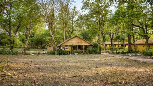 Bijrani-Zone-Stay-Jim-Corbett.jpg