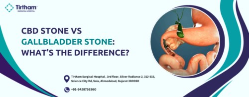CBD-Stone-768x300-2111.jpg