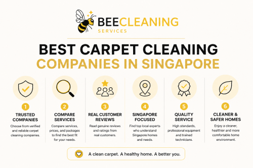 Best-Carpet-Cleaning-Companies-in-Singapore.png