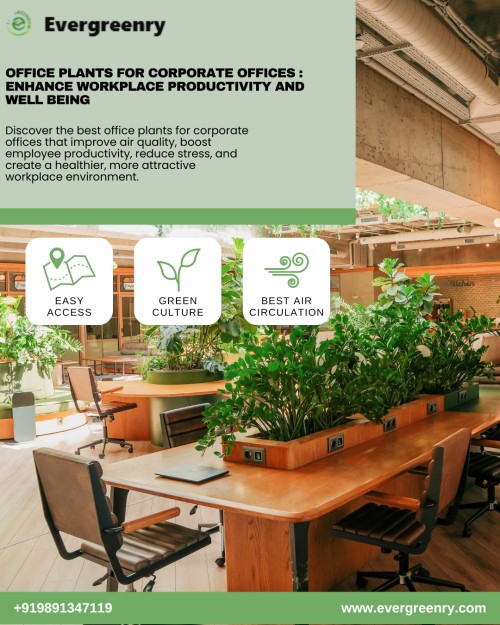 Office-Plants-for-Corporate-Offices....jpg