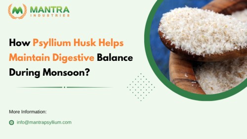 Psyllium-Husk-Helps-Maintain-Digestive111.jpg