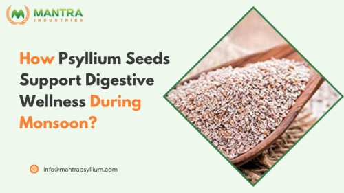 Psyllium-Seeds-Support-Digestive-Wellness111.jpg